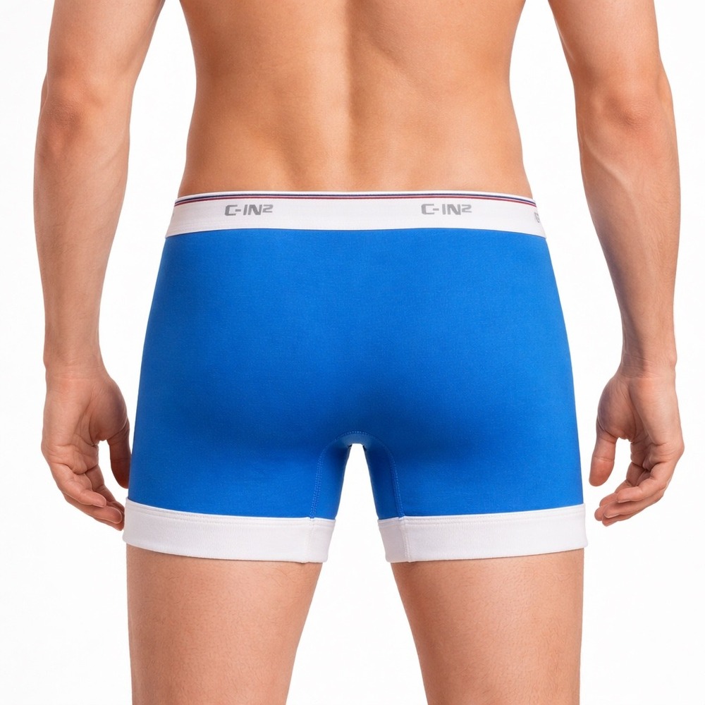 C-IN2 Throwback Boxer Briefs Blue White Mens Size Small (28-30) Contour Pouch - Picture 4 of 10